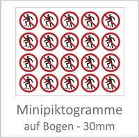 Minipiktogramme 30 mm
