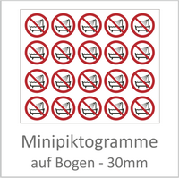 Minipiktogramme 30 mm