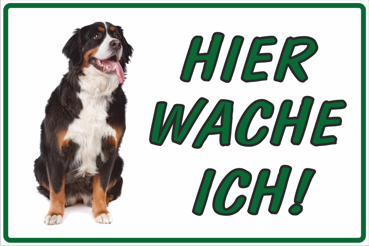 Hundewarnschild "Hier Wache Ich" Dalmatiner – 29x18 Cm, Anthrazit, Inkl. Autoaufkleber, Witterungsbeständig